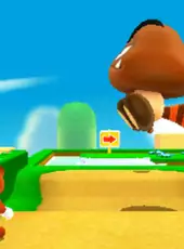 Super Mario 3D Land