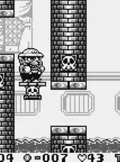 Wario Land: Super Mario Land 3