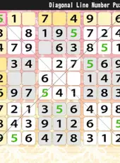 The Number Puzzle