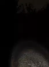 Slender: The Eight Pages