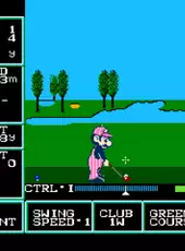 Family Computer Golf: U.S. Course