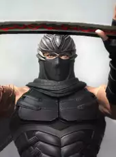 Ninja Gaiden: Master Collection Deluxe Edition