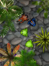 Pocket Frogs