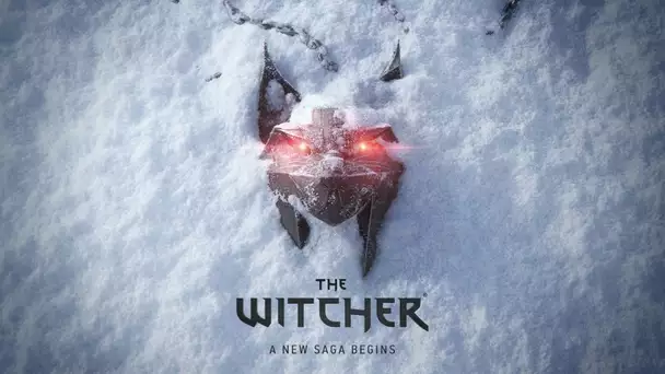 The Witcher: first information on the new game