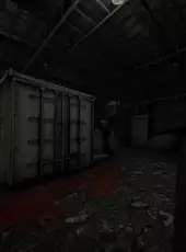 Days Without Incident