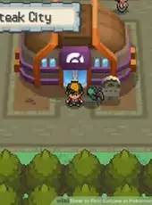 Pokémon HeartGold Version