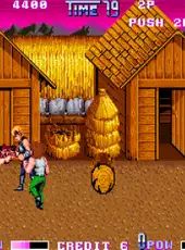 Double Dragon II: The Revenge