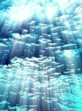 Out of the Ocean