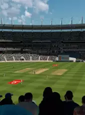 Cricket 22