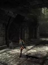 Tomb Raider: Anniversary