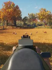 TheHunter: Call of the Wild - Rapid Hunt Rifle Pack