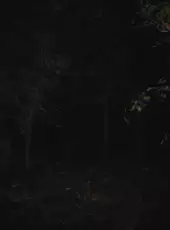 Paranormal Tales
