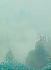 Eternal Mist