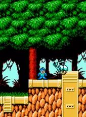 Mega Man 6