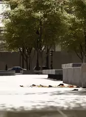 Session: Skate Sim - Paris