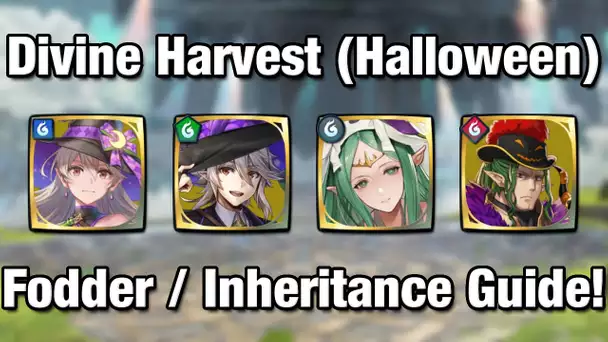 Best Uses of Atk/Spd Finish, Dragon's Ire 4, and More! - A Guide to the New Divine Harvest Skills