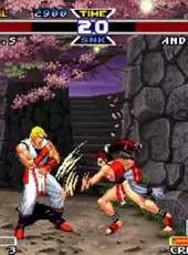 Real Bout Fatal Fury Special