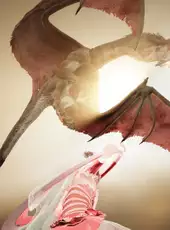 Black Desert
