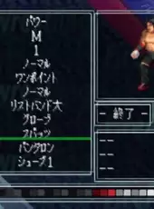 Fire Pro Wrestling G