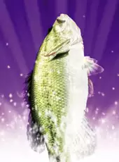 Fishing Master