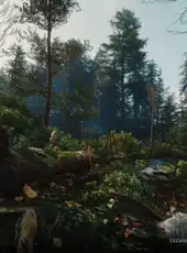 The Witcher IV