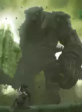 Shadow of the Colossus