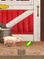 Charlotte's Web