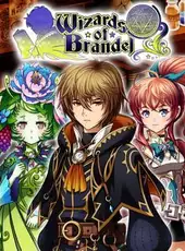 Wizards of Brandel