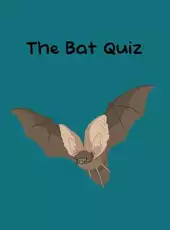 The Bat Quiz