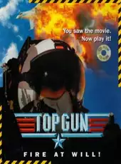 Top Gun: Fire At Will