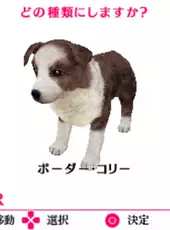 The Dog: Happy Life