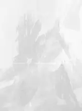 Guild Wars 2