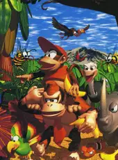 Donkey Kong Country