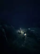 Reanimal: Collector's Edition