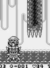 Wario Land: Super Mario Land 3