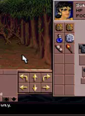 Eye of the Beholder III: Assault on Myth Drannor