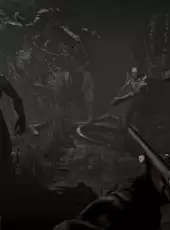 Total Chaos