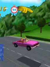 The Simpsons: Road Rage