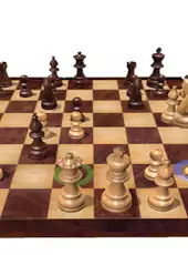 Fritz Chess 14