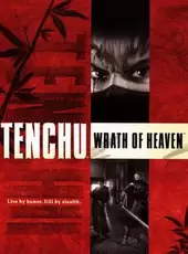 Tenchu: Wrath of Heaven