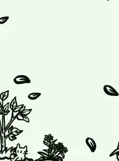 Hidden Cats In Old City Block