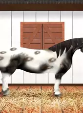 Rider's World: I Want to Ride!