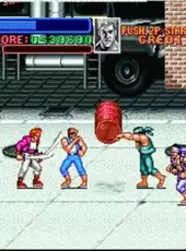 Super Double Dragon