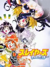 Slayers Wonderful