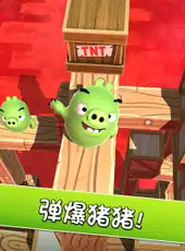 Angry Birds AR: Isle of Pigs