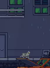 Rooftop Rascal: The Drizzle Cat