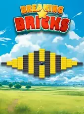 Breaking Bricks