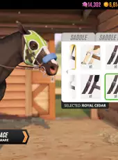 Rival Stars Horse Racing