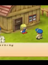 Harvest Moon: Boy & Girl