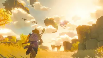 Zelda Breath of the Wild 2: what if the last trailer had been captured on Switch Pro?